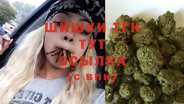 соль ск Аркадак