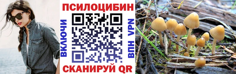 даркнет сайт Струнино Псилоцибиновые грибы Cubensis